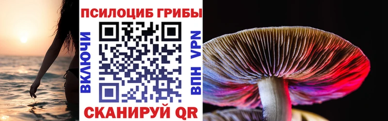 Псилоцибиновые грибы Magic Shrooms  Партизанск 
